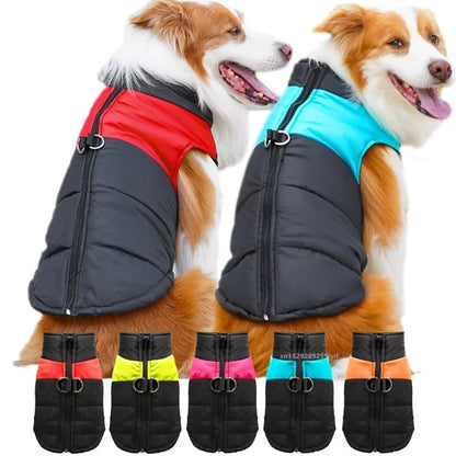 Vêtement chien Rose S–5XL