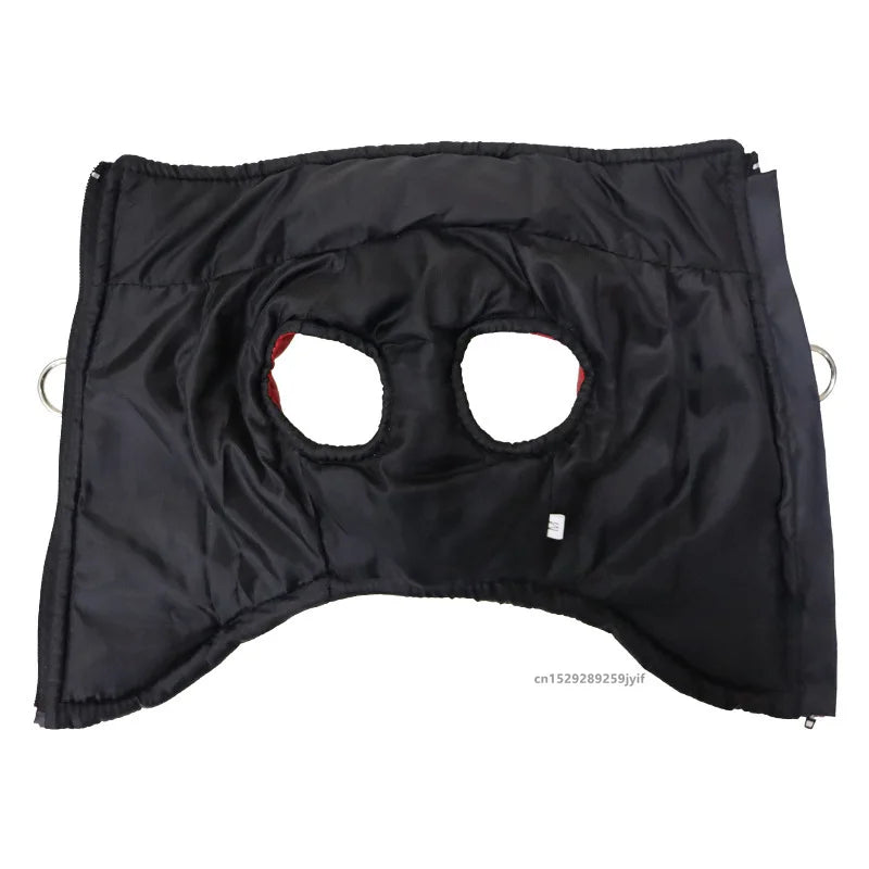 Vêtement chien orange S–5XL