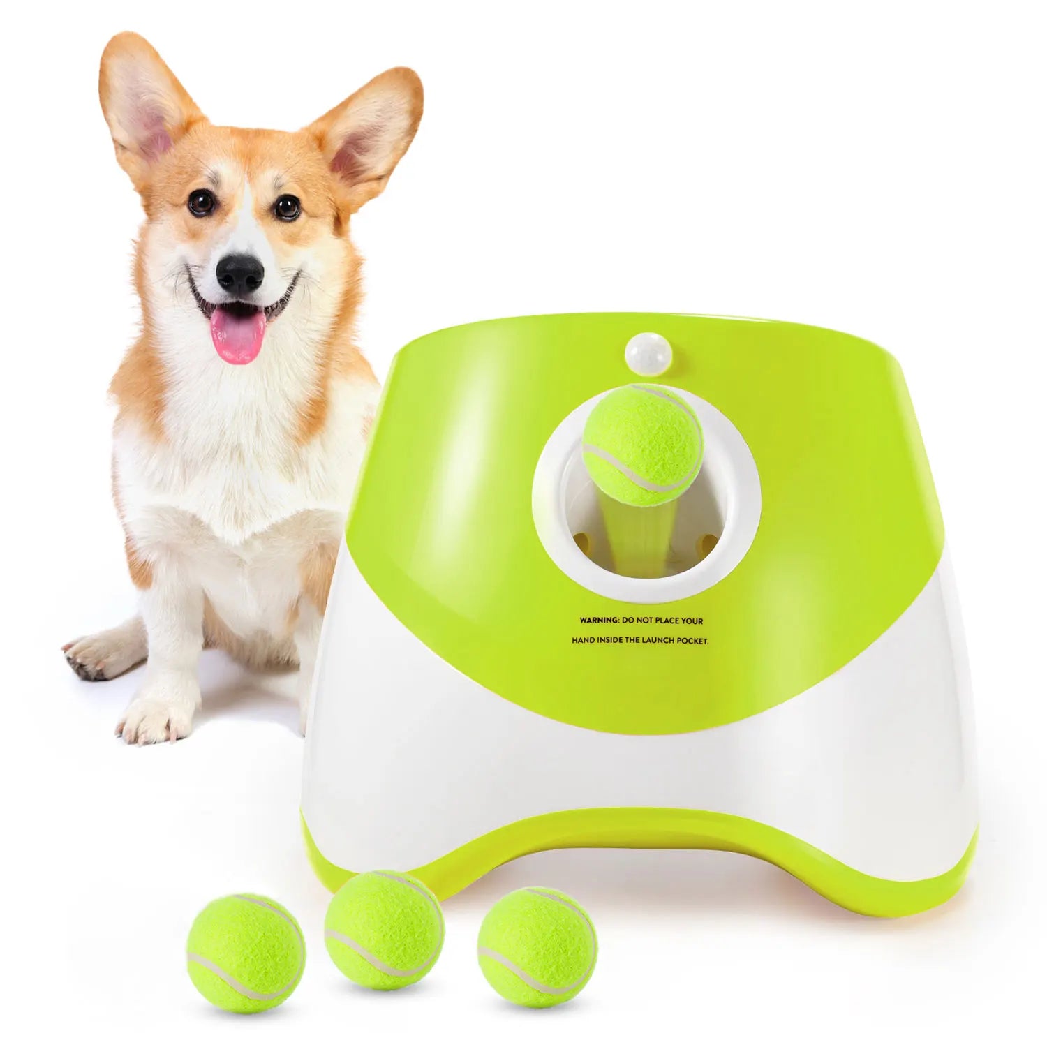 lanceur automatique de balles pour petit chiens 
