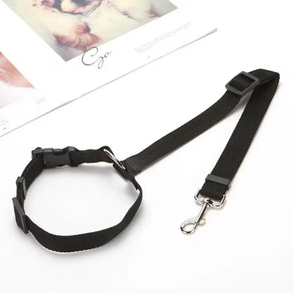 Attache ceinture chien voiture réglable