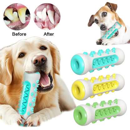 Jouet brosse dents chien TPR