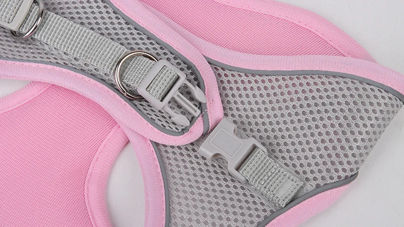 Harnais + laisse rose XXS–L