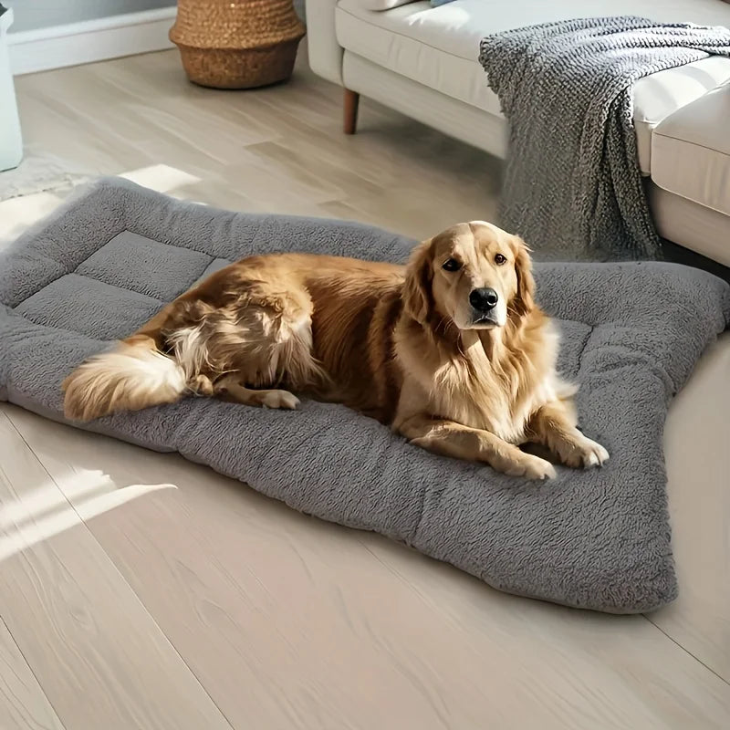 Tapis mousse chien 60×120 cm