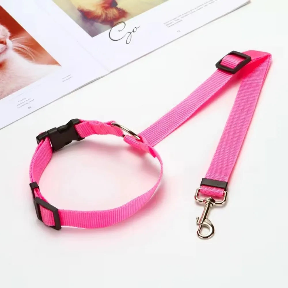 Attache ceinture chien voiture réglable