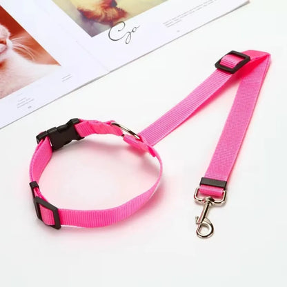 Attache ceinture chien voiture réglable