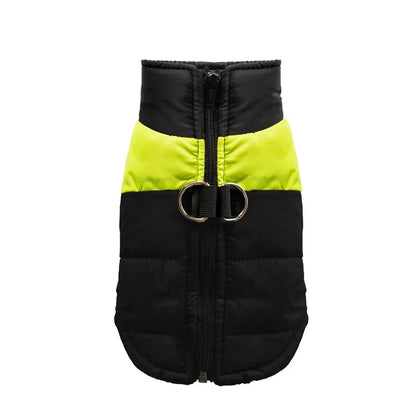 Vêtement chien vert S–5XL