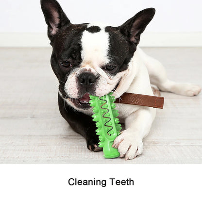 Jouet brosse dents chien TPR