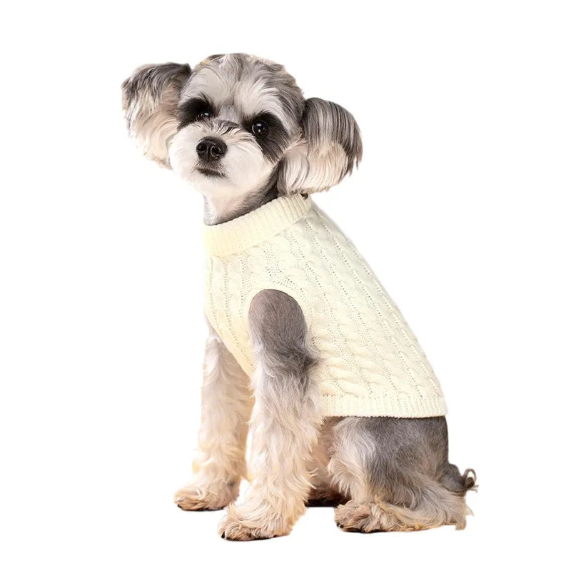 Pull col roulé chien (S–XL)