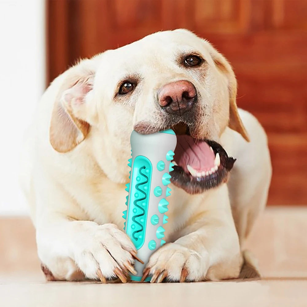 Jouet brosse dents chien TPR