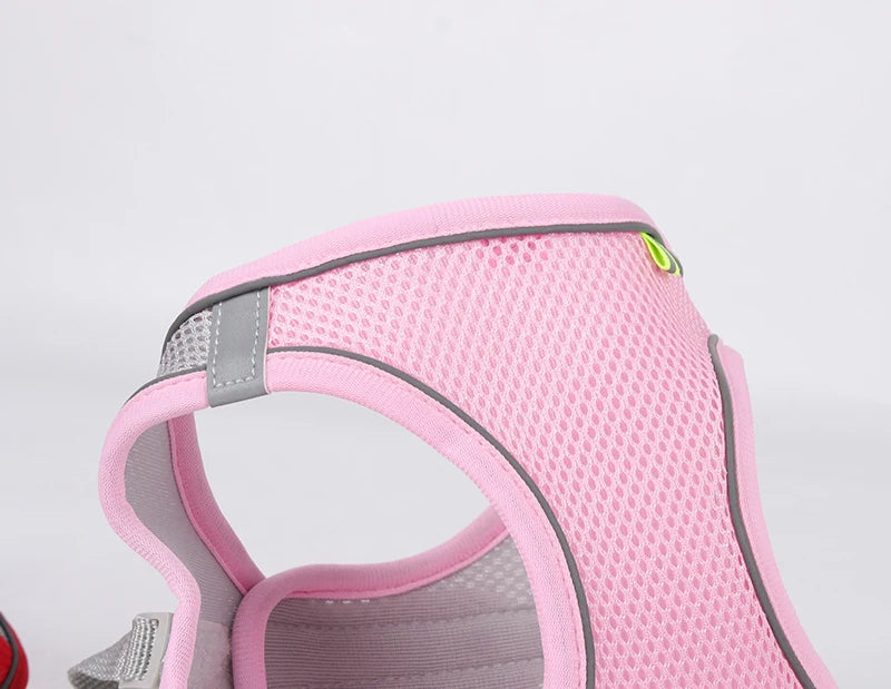 Harnais + laisse rose XXS–L