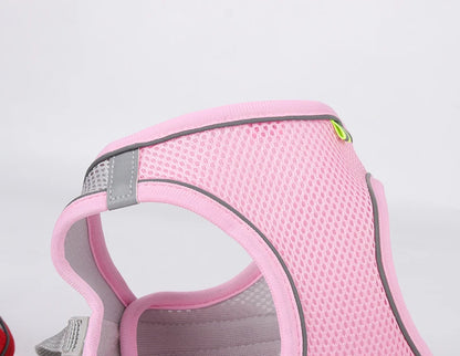 Harnais + laisse rose XXS–L