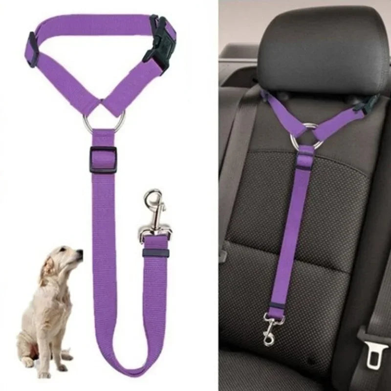Attache ceinture chien voiture réglable