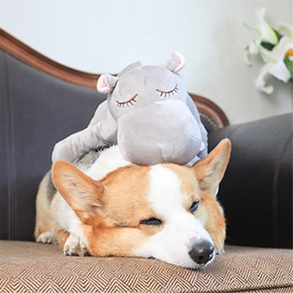 Peluche Hippopotame chiens 