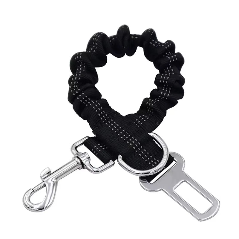 Attache ceinture chien/chat réglable