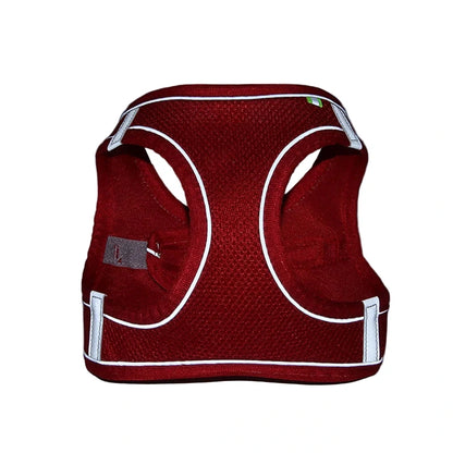 Harnais + laisse rouge XXS–L