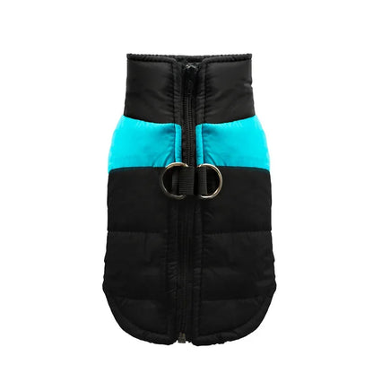 Vêtement chien bleu S–5XL