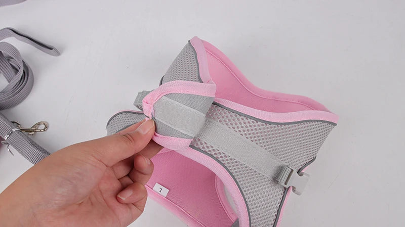 Harnais + laisse rose XXS–L